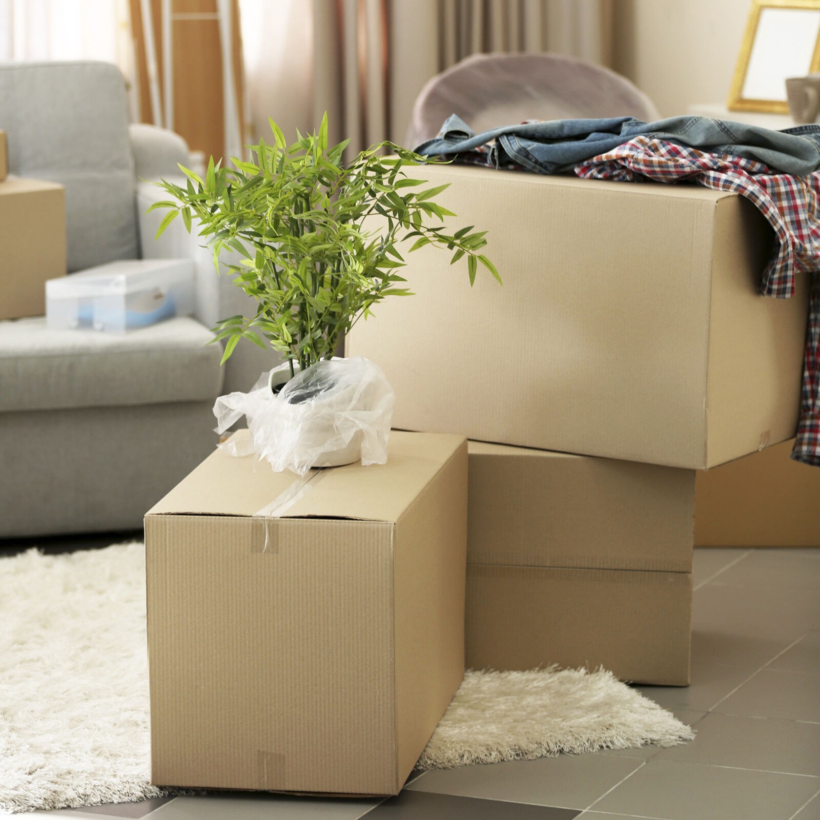24 x 8 x 4″ Long Corrugated Boxes, ECT-32 Brown Shipping/Moving Boxes 25 Boxes