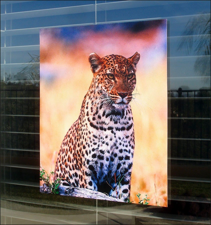 Custom Static Window Cling Signs Printing, Window Non-Adhesive Decal Sticker