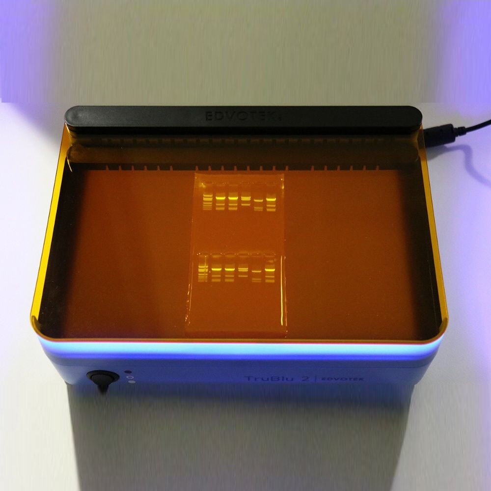 SYBR® Safe DNA Stain