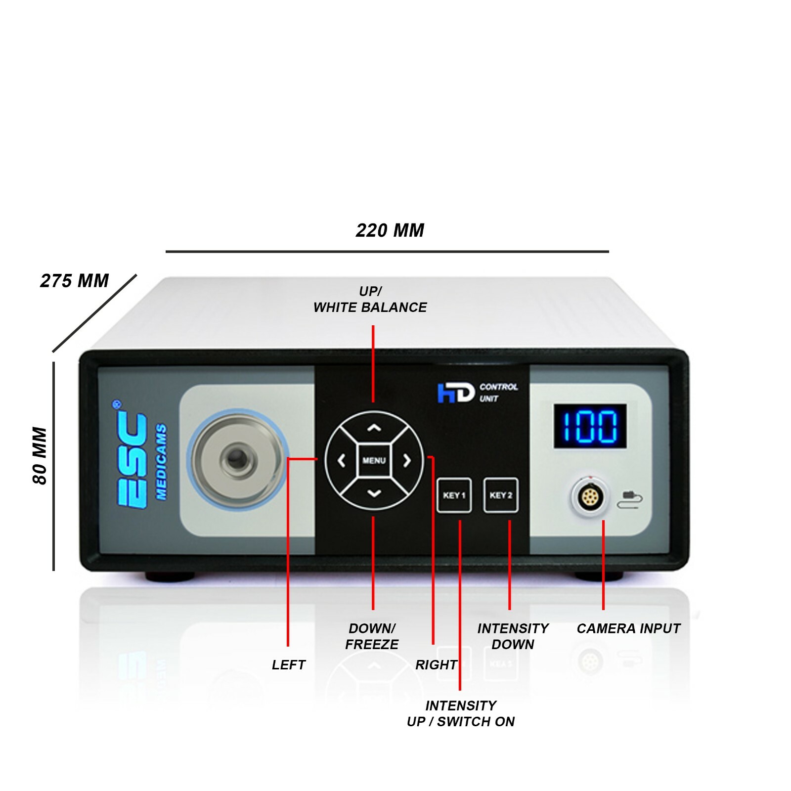 Portable Endoscopy Camera & Cold LED Light Source HD USB ENT Medical Endoscope