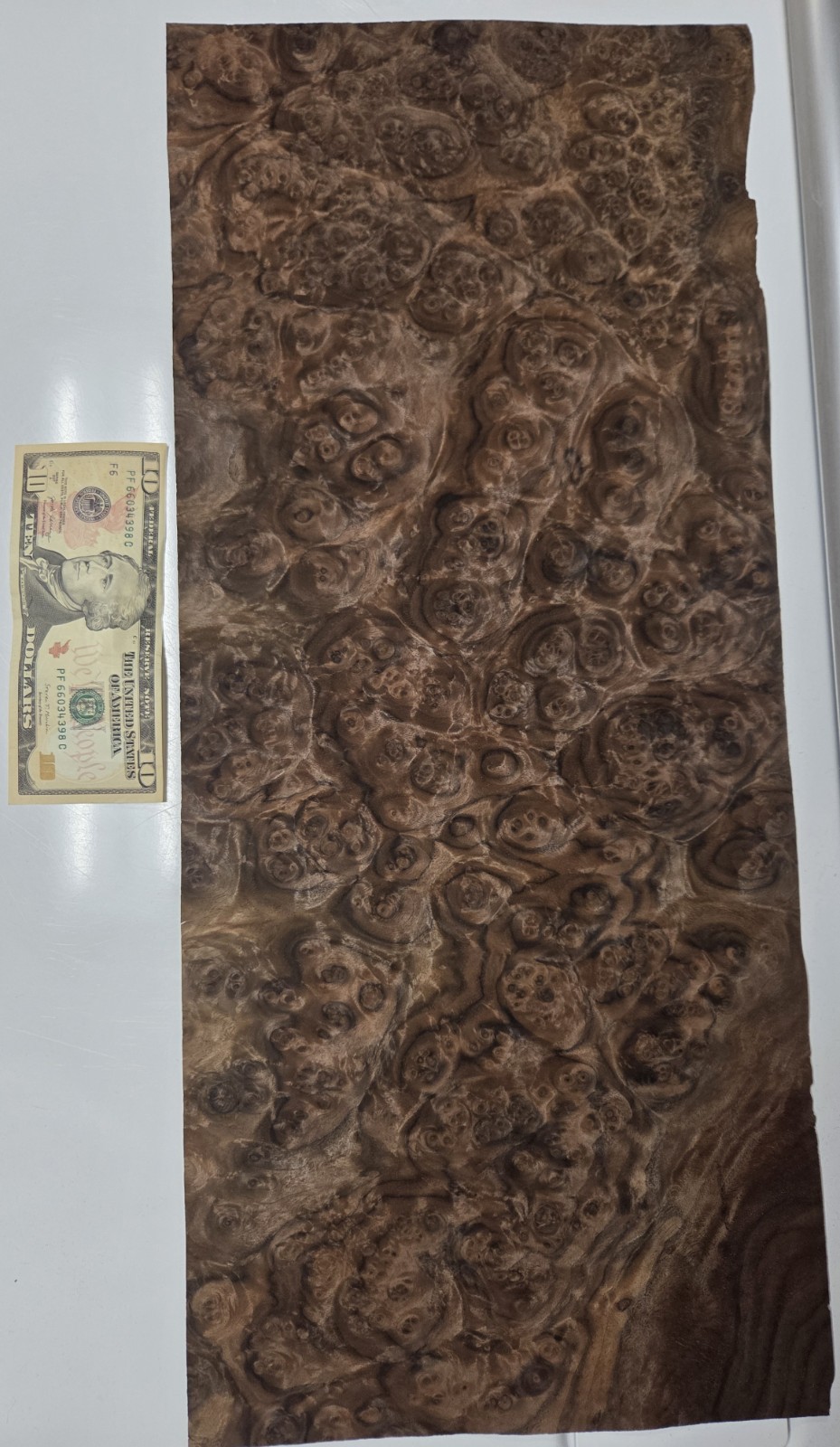 Walnut Burl Veneer:) 2@10.5×24″