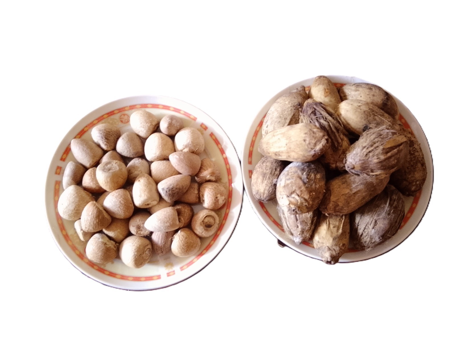 Natural Dry Areca Nut | Sun Dried | Chemical Free | From Sri Lanka