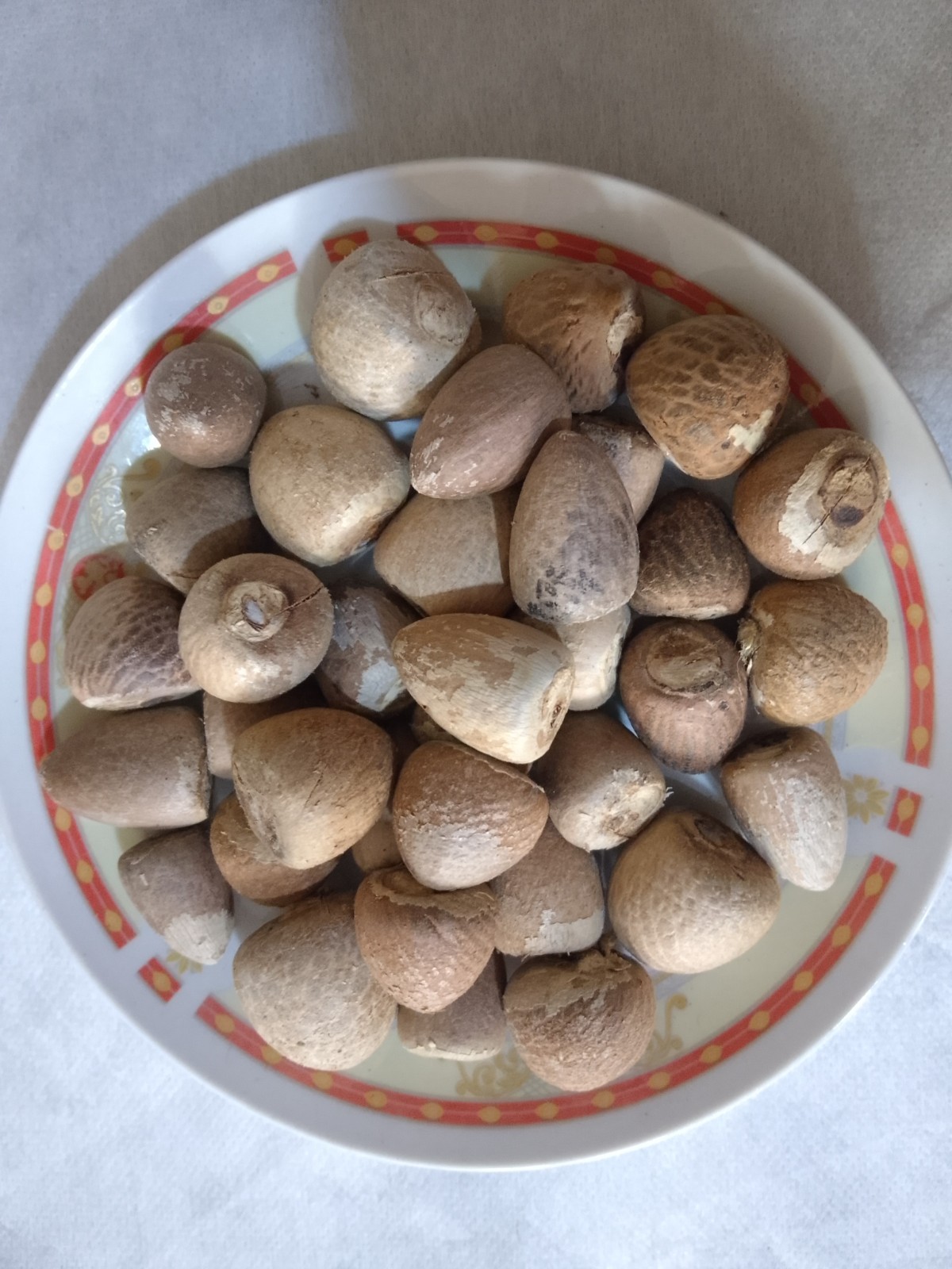 Natural Dry Areca Nut | Sun Dried | Chemical Free | From Sri Lanka