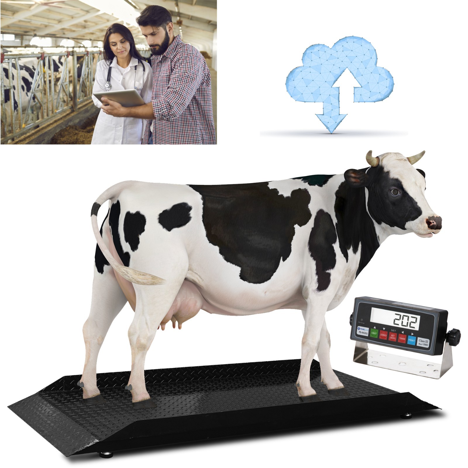 New Prime Scales PS-4KCS-L Cattle Scale | Livestock Scale w/ Indicator