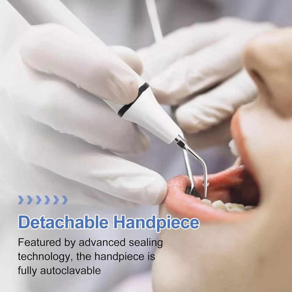 LED Dental Ultrasonic Piezo Scaler Handpiece Bottles Fit EMS Cavitron Woodpecker