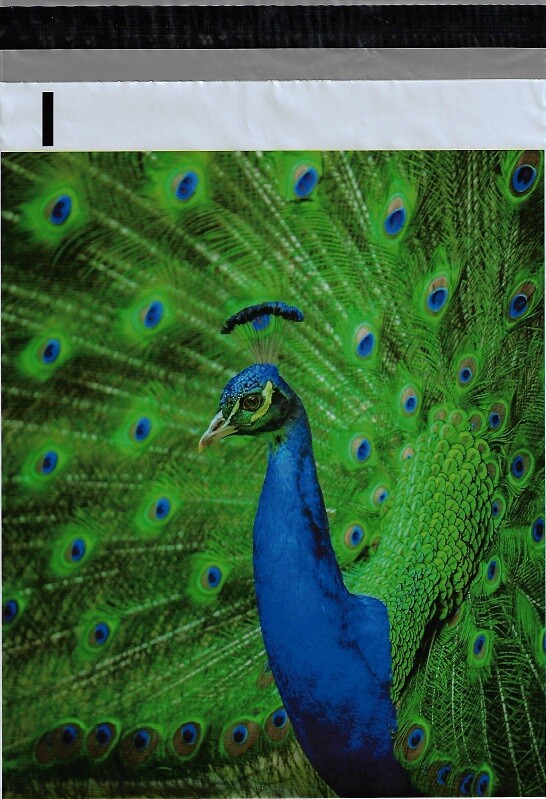 1-100-1000 10×13 ( Peacock ) Boutique Designer Poly Bag Mailers Envelopes Bags