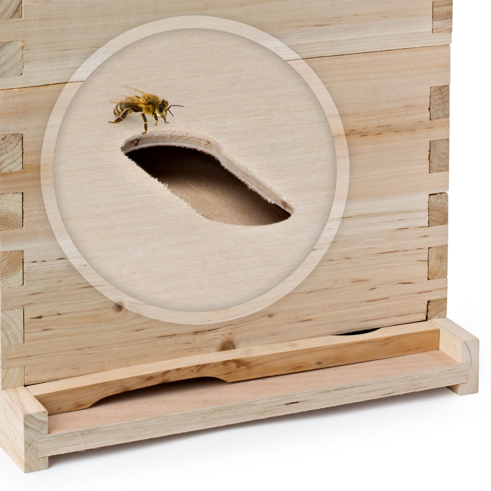 Beehive 20 Frame Complete Box Kit (10 Deep-10 Medium) Langstroth Beekeeping